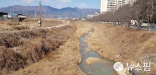 증평군 도랑살리기 공모 11년 연속 선정