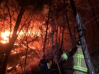 창원 근곡저수지 인근 야산 불…마을 방화선 구축