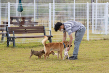 익산시 동물복지사업 추진