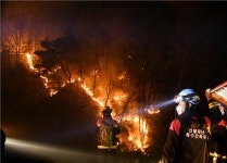 고령·합천산불 화마와 사투벌이는 산불특수진화대