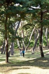 퇴계 이황이 아끼고 주세붕이 즐겨찾던 영주 소수서원 둘레길