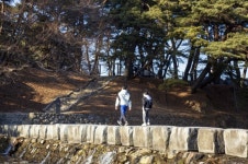 퇴계 이황이 아끼고 주세붕이 즐겨찾던 영주 소수서원 둘레길