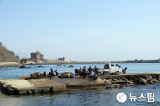 울진 온양리, 산불피해 극심한데...햇미역 수확 나선 까닭