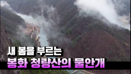 [영상] 새 봄을 부르는 봉화 청량산의 물안개