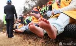 풀 투성이 작은 발