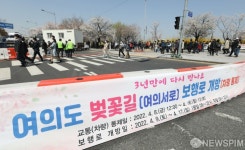 끝나가는 코로나19, 여의도 벚꽃길도 3년만에 개방