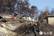 [르포] 새 집짓고 농새도 짓고 열심히 살아야지요...산불 잿더미 딛고 다시 일어서는 울진 화동마을