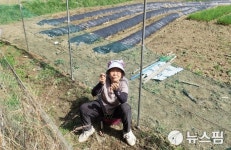 [르포] 새 집짓고 농새도 짓고 열심히 살아야지요...산불 잿더미 딛고 다시 일어서는 울진 화동마을
