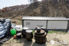 [르포] 새 집짓고 농새도 짓고 열심히 살아야지요...산불 잿더미 딛고 다시 일어서는 울진 화동마을