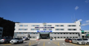 평창군, 1~3월 전지훈련팀 71개팀 유치...경제효과 9억원