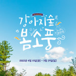 춘천 강아지숲, 개장 1주년 기념 축제 봄소풍 개최
