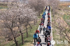 보은 벚꽃길 자전거 대행진 개최...17일 공설운동장서 출발