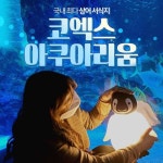춘천 레고랜드여는 멀린엔터테인먼트, 코엑스 아쿠아리움도 인수