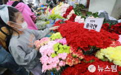 카네이션 고마워요 어버이날 앞둔 어르신의 미소 [뉴스핌 줌인]