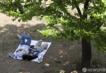 그늘 밑 휴식