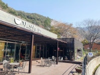 봉화 물야저수지 청람빛에 물들고 오전약수 참나무 화덕피자 맛들고