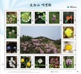 태백우체국 태백산 홍보 우표 제2탄 발행...예약 판매