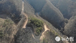 단양군 친환경 녹색 임도 3개 노선 3.2km 개설...11억원 투입