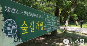 고라니와 함께 동구릉 조선왕릉 숲길 산책~ [ 뉴스핌 줌인]