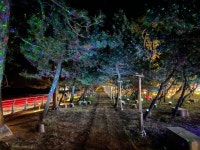 깨끗하고 안전한 고창 동호해수욕장 명품 솔숲