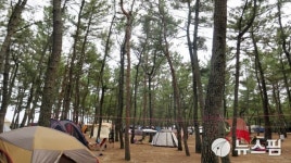 [포토에세이] 현충일 연휴 첫날, 울진 구산캠프장·왕피천공원·죽변 스카이레일 초만원