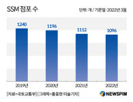 롯데슈퍼 등 기업형 슈퍼마켓 내리막길 지속, 왜