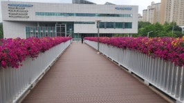 안양시 육교·교량 16개소에 여름꽃 박스 설치