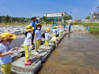 고사리손으로 만드는 깨끗한 서천...영주 어린이집 6곳 환경캠페인