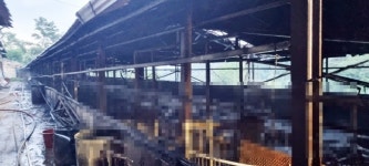 안동 와룡면 돈사 화재...2개동 전소·돼지 920두 소사