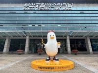 부산종합버스터미널로 자리 옮긴 부기…엑스포 유치 응원