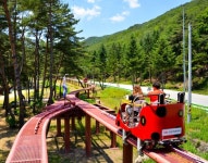 속리산 테마파크 관광 명소 우뚝...지역경제 이끄는 선봉장