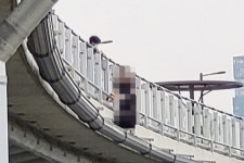 세종시 금강보행교 난간서 여중생 2명 대치 소동