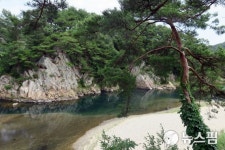 [남효선의 7번국도를 따라] 울진지방 정신사의 성소(聖所)...주천대(酒泉臺)