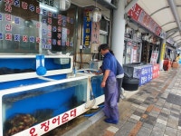 묵호항 횟집 위생 모두 적합...동해시, 식품안전청과 합동점검