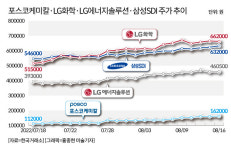 [그래픽] 포스코케미칼·LG화학·LG에너지솔루션·삼성SDI 주가 추이