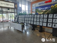 삼척 미로초, 환경동아리 환경생태 작품 전시