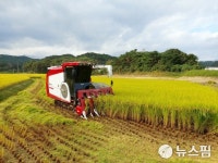 대구 25일 낮 기온 30도·경북은 선선...경북북부·울릉 5mm 비