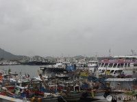 목포 동명항에 태풍 피해 뒤섞인 선박들