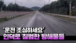 [영상] 운전 조심하세요...강풍에 광양 인덕로 침범한 방해물들