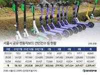 전동킥보드 불법주차 여전...서울시, 전용구역 확대한다