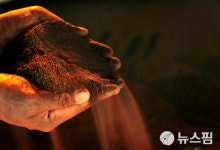 [특징주] 니켈 부족 우려에 STX 상한가... 황금에스티·티플랙스도 급등