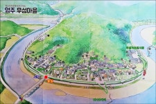 [르포] 강물에 뜬 섬마을, 최고 길지...350년 품은 영주 무섬마을