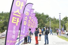신안 아스타 꽃축제