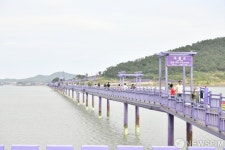보라빛 퍼플섬