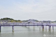 보라빛 세상