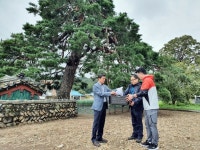 국립백두대간수목원 시드볼트로 옮겨지는 울진행곡리처진소나무 종자