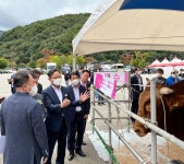 경북 최고의 한우 선발...구미시 김진 농가 2개부문 차지