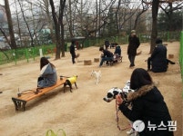 [IN서울] 서울시는 반려동물 1번지