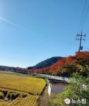 대구·경북 20일 아침 5도 내외 추워...대기 건조 산불 주의
