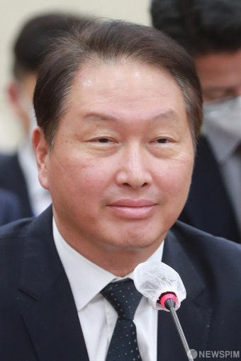국정감사 출석해 미소 짓는 최태원 SK 회장